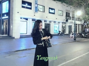 Yangjin2k