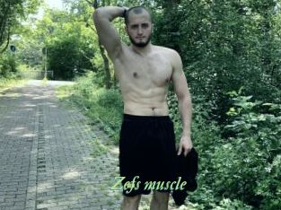 Zefs_muscle