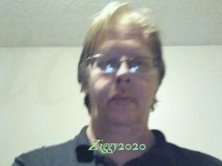 Ziggy2020