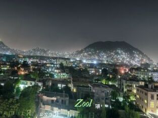 Zool