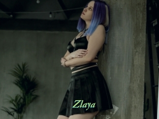 zlaya Tel Coquin