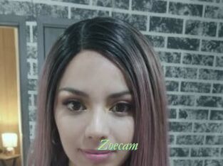 Zoecam